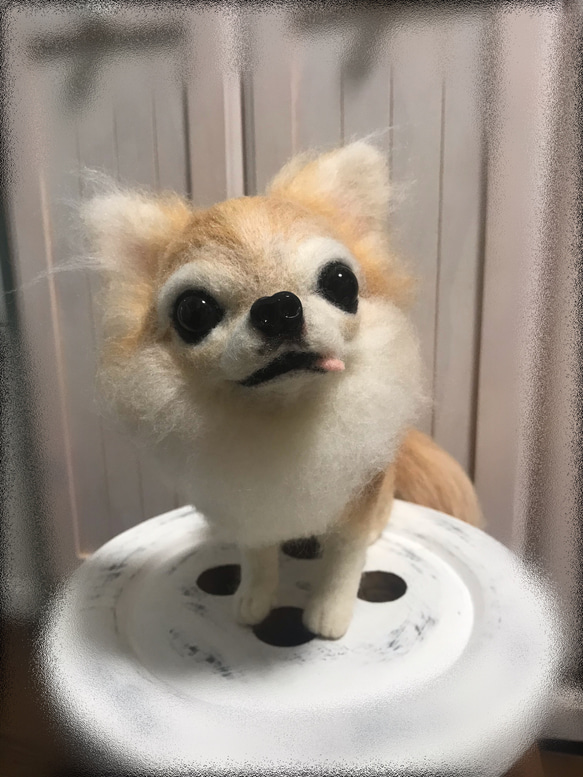 愛犬ちゃんそっくり人形(Mサイズ)オーダー作品:チワワちゃん 7枚目の画像