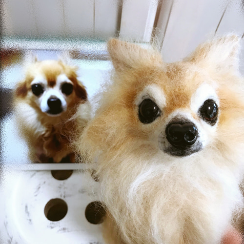 羊毛フェルト:愛犬ちゃんそっくり人形(Mサイズ):オーダー受付