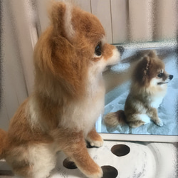 羊毛フェルト:愛犬ちゃんそっくり人形(Mサイズ):オーダー受付 4枚目の画像