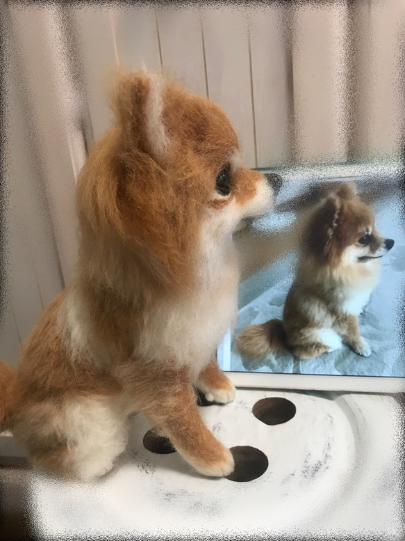 羊毛フェルト:愛犬ちゃんそっくり人形(Mサイズ):オーダー受付 4枚目の画像