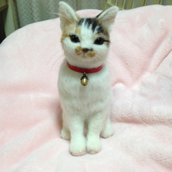 羊毛フェルト:愛猫ちゃんそっくり人形(Mサイズ):オーダー受付 10枚目の画像