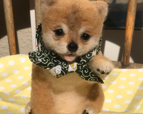 豆柴　羊毛フェルトお手をする豆柴 羊毛フェルト:豆柴の赤ちゃん(お手ポーズ) - ♪めれんげど~る