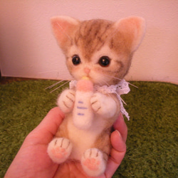 羊毛フェルト・ミルク飲み子猫・アメショー 4枚目の画像