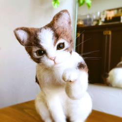 羊毛フェルトの仔猫ちゃん(キジ白) 1枚目の画像