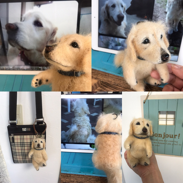羊毛フェルト:愛犬ちゃんそっくり人形(Sサイズ)オーダー受付 9枚目の画像