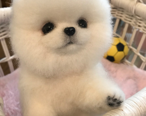 羊毛フェルト ポメラニアンちゃん　オレンジ色　パピーちゃん 羊毛フェルト ポメラニアンちゃん オレンジ色 パピーちゃん 羊毛