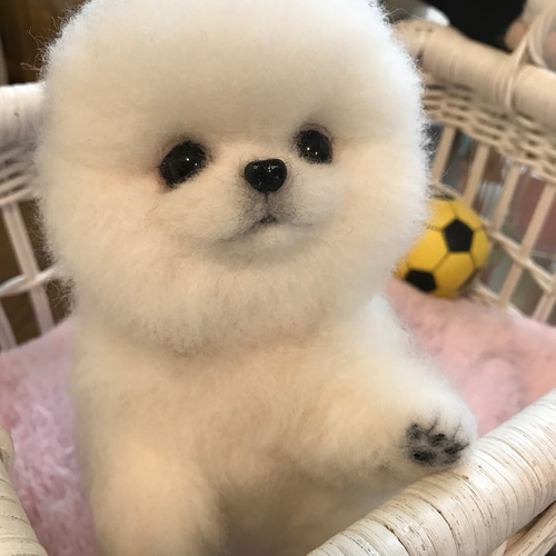羊毛フェルト:愛犬ちゃんそっくり人形(Mサイズ)白ポメラニアン 羊毛フェルト:愛犬ちゃんそっくり人形(Mサイズ)白ポメラニアン