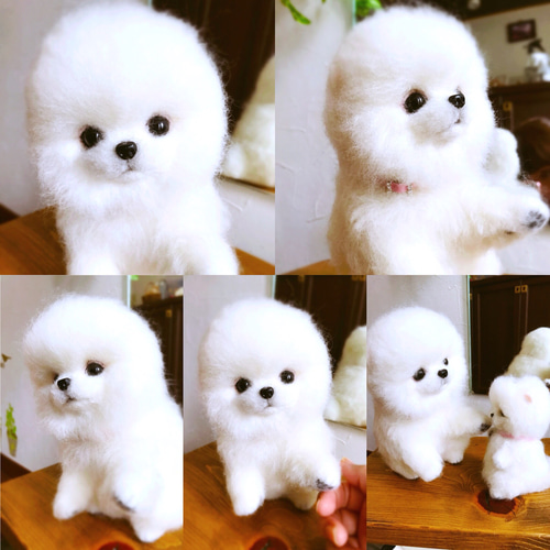 羊毛フェルト:愛犬ちゃんそっくり人形(Mサイズ)白ポメラニアン
