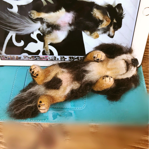羊毛フェルト:愛犬ちゃんそっくり人形バッグチャーム(チワックス 羊毛フェルト:愛犬ちゃんそっくり人形バッグチャーム(チワックス