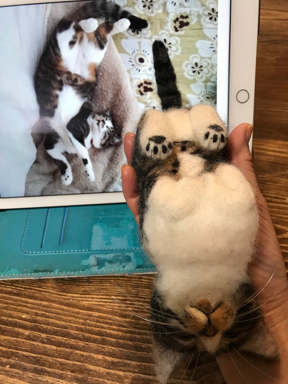 羊毛フェルト:愛猫ちゃんそっくり人形(Sサイズ)みーくーママ様オーダー作品 4枚目の画像