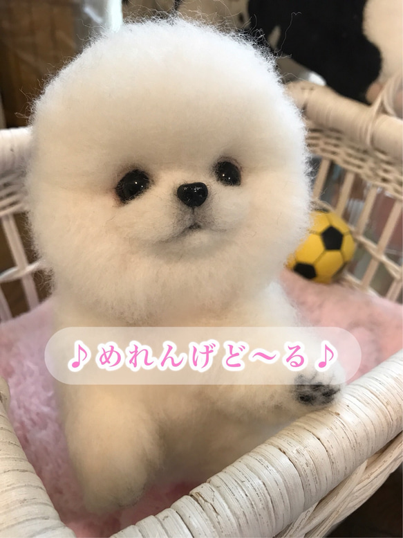 愛犬ちゃんそっくり人形(Sサイズ)ポーズ変更:きなこもち様オーダー分 1枚目の画像