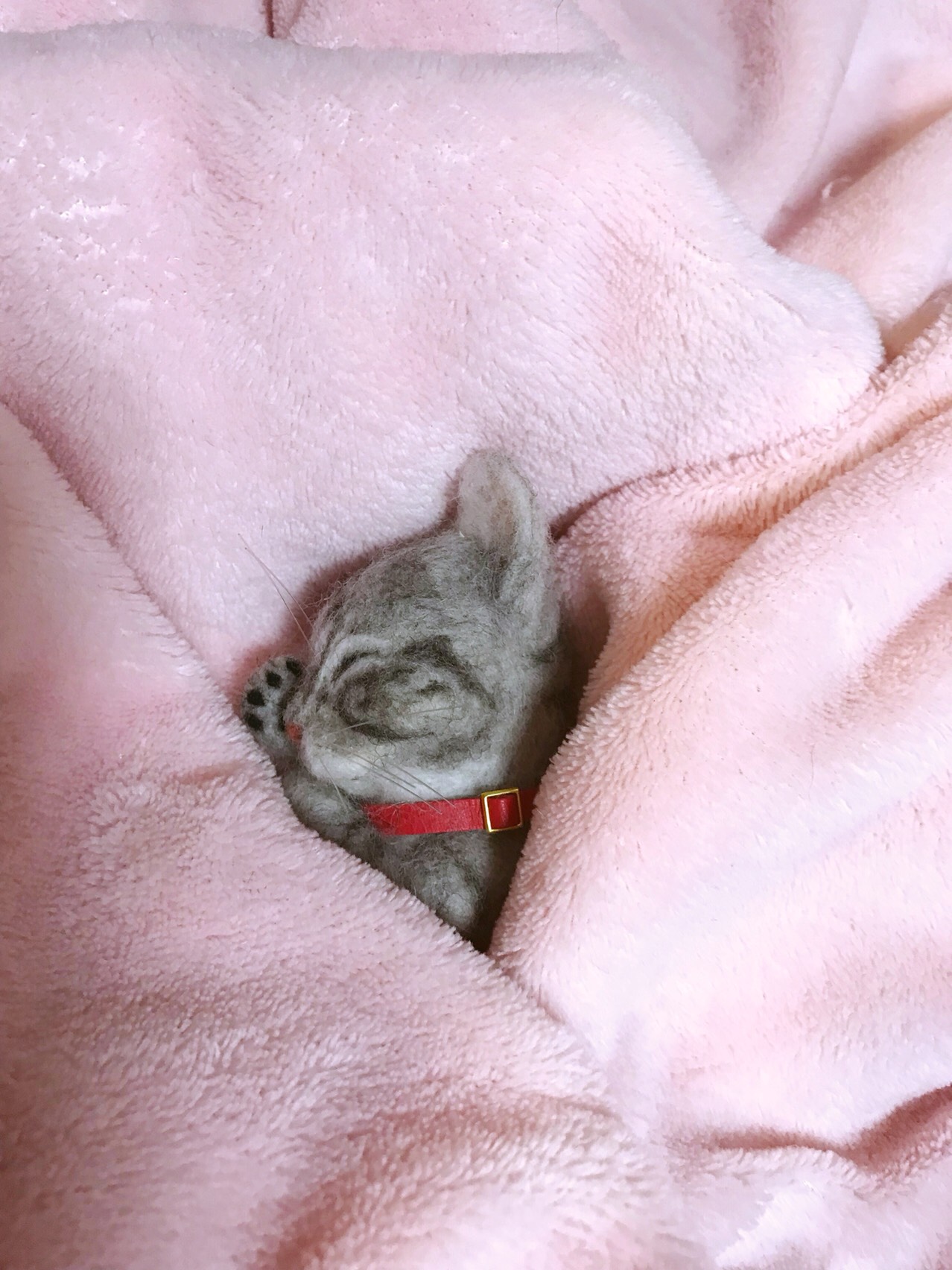 ネンネにゃんこ（アメショー)「お顔はブローチ、カップに入ってインテリア」