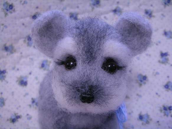 赤ちゃんミニチュアシュナウザー 羊毛フェルト ♪めれんげど~る♪ 通販