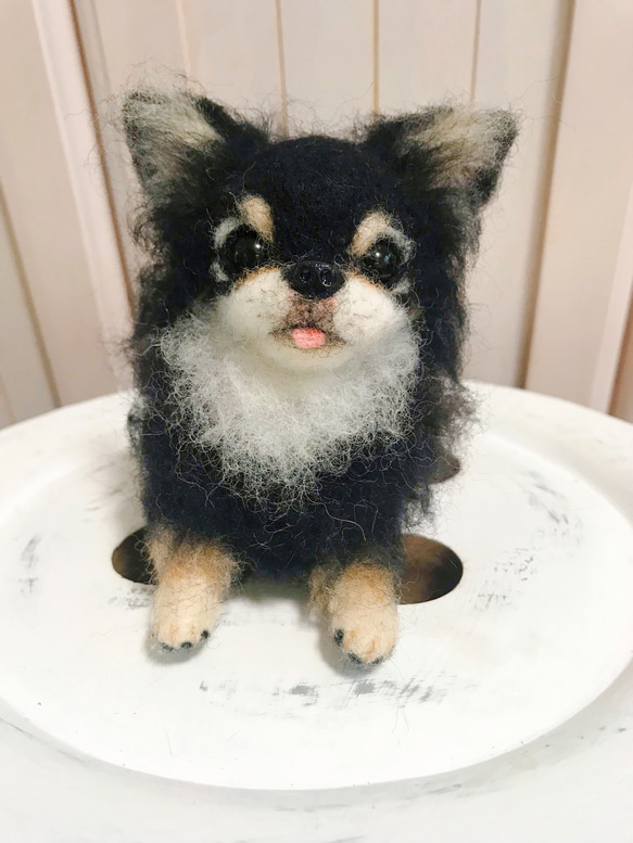 愛犬ちゃんそっくり人形(Sサイズ)オーダー作品:ロングコートチワワちゃん 8枚目の画像