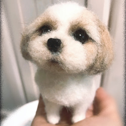 愛犬ちゃんそっくり人形(Sサイズ)オーダー作品:シーズーちゃん 6枚目の画像