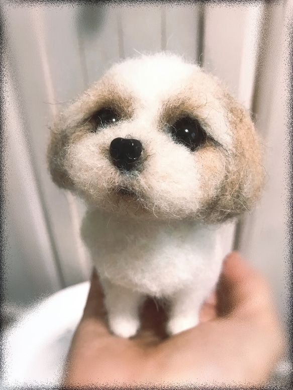 愛犬ちゃんそっくり人形(Sサイズ)オーダー作品:シーズーちゃん 6枚目の画像