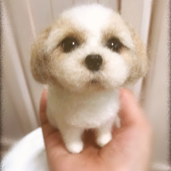 愛犬ちゃんそっくり人形(Sサイズ)オーダー作品:シーズーちゃん 7枚目の画像