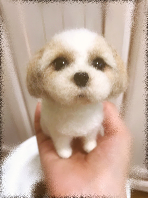 愛犬ちゃんそっくり人形(Sサイズ)オーダー作品:シーズーちゃん 7枚目の画像