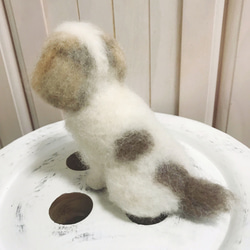 愛犬ちゃんそっくり人形(Sサイズ)オーダー作品:シーズーちゃん 9枚目の画像