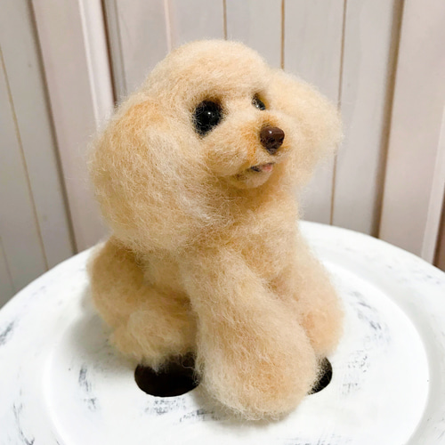 愛犬ちゃんそっくり人形(Sサイズ)オーダー作品:ティーカッププードル