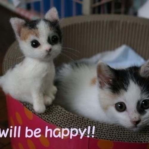 羊毛フェルト:愛猫ちゃんそっくり人形(Sサイズ))オーダー受付 羊毛