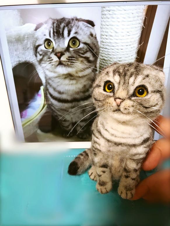 羊毛フェルト:愛猫ちゃんそっくり人形(Sサイズ))オーダー受付 2枚目の画像