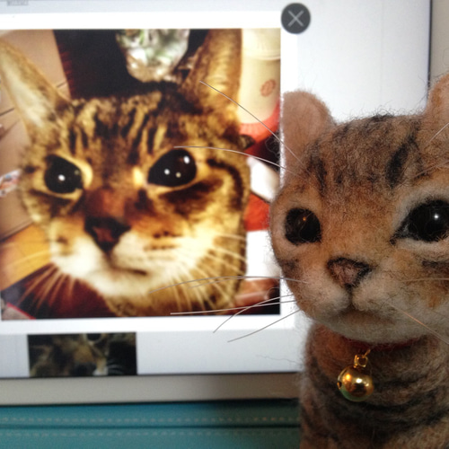 羊毛フェルト:愛猫ちゃんそっくり人形(Sサイズ))オーダー受付
