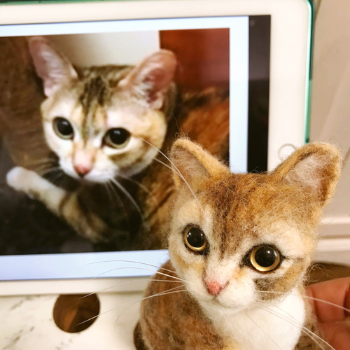 羊毛フェルト:愛猫ちゃんそっくり人形(Sサイズ))オーダー受付 羊毛フェルト:愛猫ちゃんそっくり人形(Sサイズ))オーダー受付