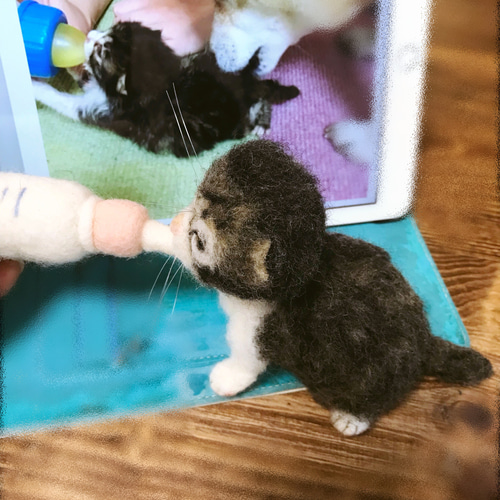 羊毛フェルト:愛猫ちゃんそっくり人形(Sサイズ))オーダー受付 羊毛