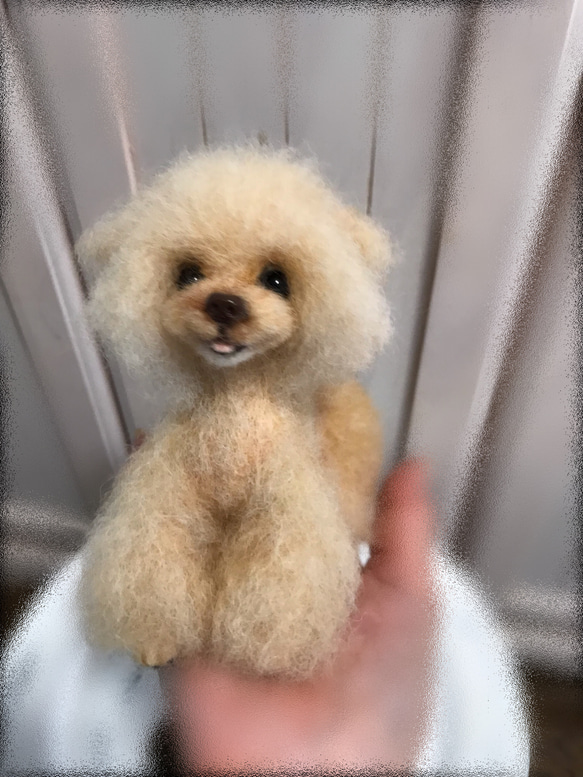 愛犬ちゃんそっくり人形(Sサイズ)オーダー作品:ティーカッププードルちゃん 6枚目の画像
