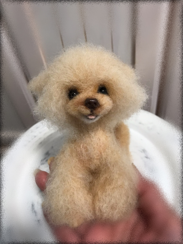 愛犬ちゃんそっくり人形(Sサイズ)オーダー作品:ティーカッププードルちゃん 7枚目の画像