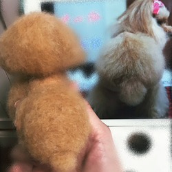 愛犬ちゃんそっくり人形(Sサイズ)オーダー作品:ティーカッププードルちゃん 3枚目の画像