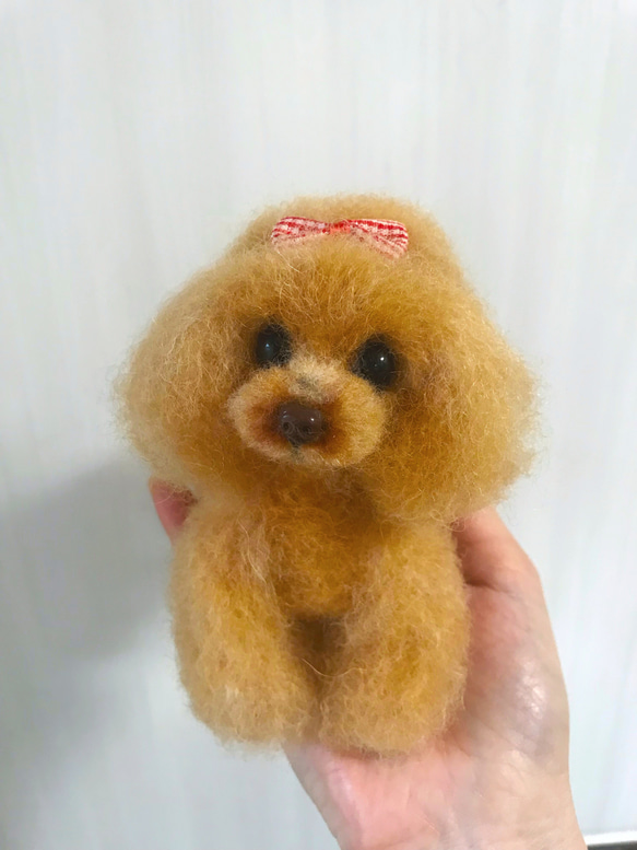 愛犬ちゃんそっくり人形(Sサイズ)オーダー作品:ティーカッププードルちゃん 6枚目の画像