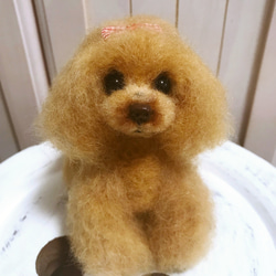 愛犬ちゃんそっくり人形(Sサイズ)オーダー作品:ティーカッププードルちゃん 9枚目の画像