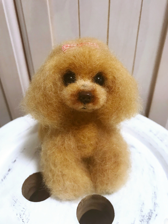 愛犬ちゃんそっくり人形(Sサイズ)オーダー作品:ティーカッププードルちゃん 9枚目の画像