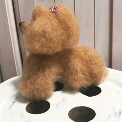 愛犬ちゃんそっくり人形(Sサイズ)オーダー作品:ティーカッププードルちゃん 10枚目の画像