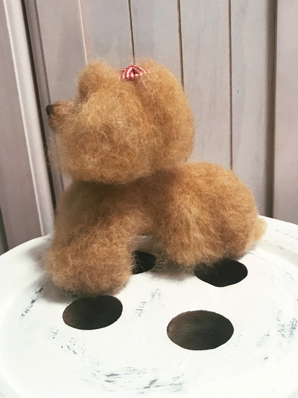 愛犬ちゃんそっくり人形(Sサイズ)オーダー作品:ティーカッププードルちゃん 10枚目の画像