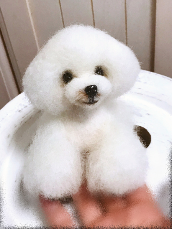 愛犬ちゃんそっくり人形(Sサイズ)オーダー作品:ティーカッププードルちゃん 6枚目の画像