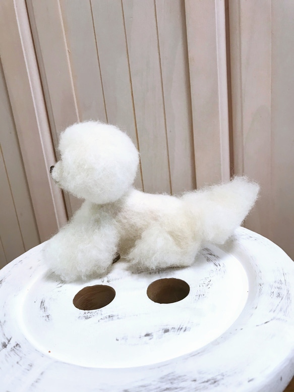 愛犬ちゃんそっくり人形(Sサイズ)オーダー作品:ティーカッププードルちゃん 7枚目の画像
