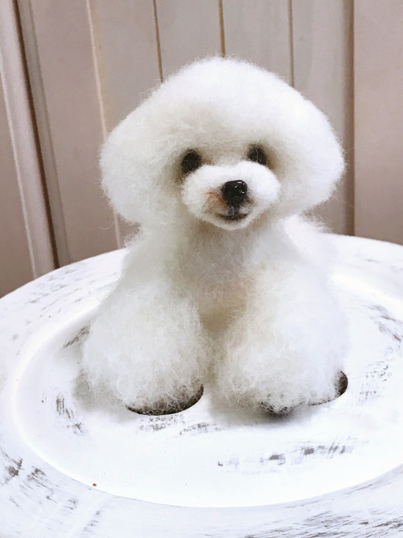 愛犬ちゃんそっくり人形(Sサイズ)オーダー作品:ティーカッププードルちゃん 10枚目の画像