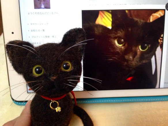 akina様オーダー作品:愛猫ちゃんそっくり人形 5枚目の画像