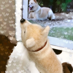 愛犬ちゃんそっくり人形(Sサイズ)オーダー作品:mix犬 4枚目の画像