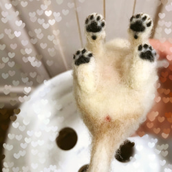 愛犬ちゃんそっくり人形(Sサイズ)オーダー作品:mix犬 6枚目の画像