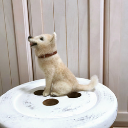 愛犬ちゃんそっくり人形(Sサイズ)オーダー作品:mix犬 10枚目の画像