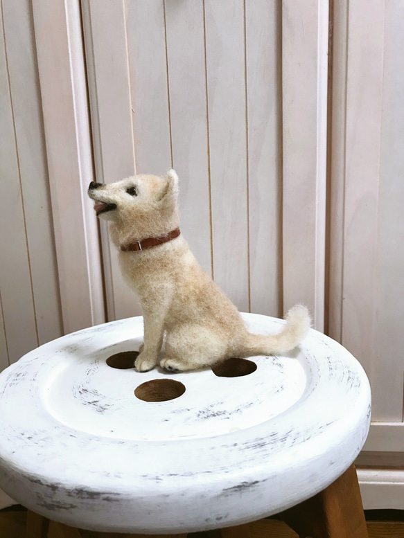 愛犬ちゃんそっくり人形(Sサイズ)オーダー作品:mix犬 10枚目の画像