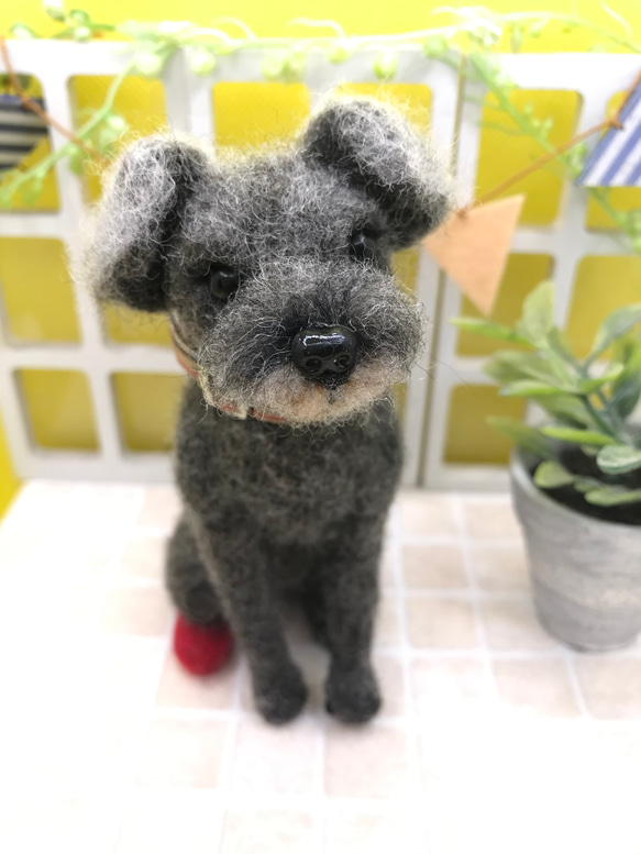 愛犬ちゃんそっくり人形(Sサイズ)オーダー作品:ミニチュアシュナウザーちゃん 6枚目の画像