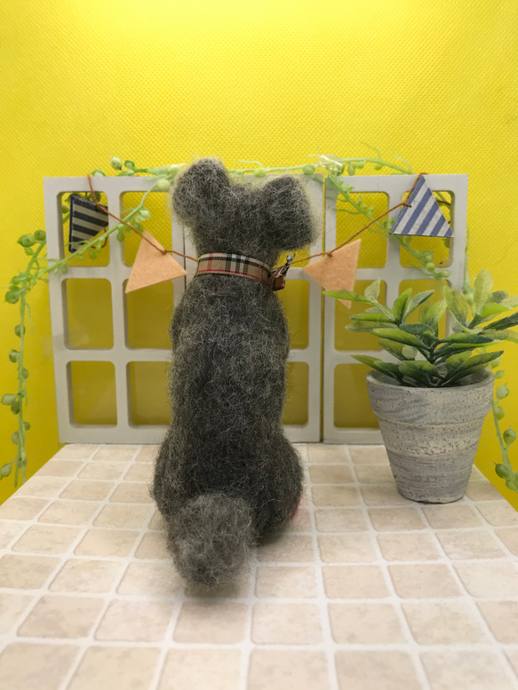 愛犬ちゃんそっくり人形(Sサイズ)オーダー作品:ミニチュアシュナウザーちゃん 8枚目の画像