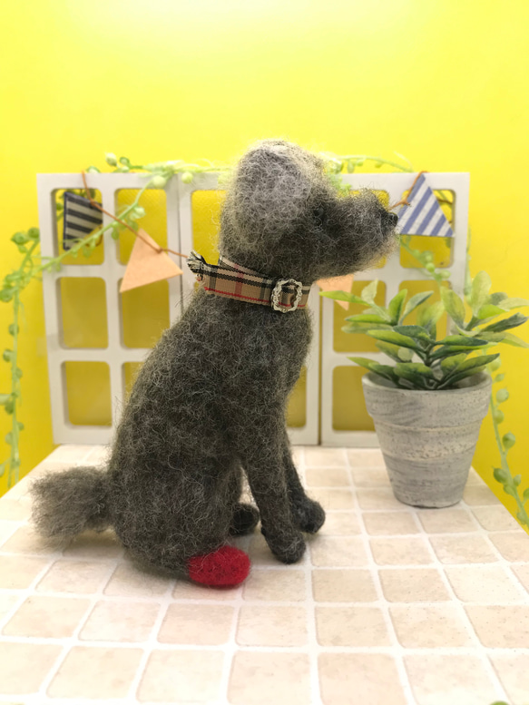 愛犬ちゃんそっくり人形(Sサイズ)オーダー作品:ミニチュアシュナウザーちゃん 10枚目の画像