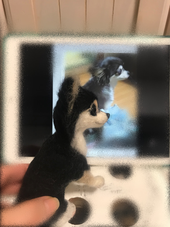 愛犬ちゃんそっくり人形（Sサイズ)オーダー作品:チワワ  ちゃん 2枚目の画像