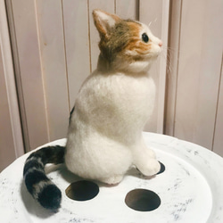 愛猫ちゃんそっくり人形(Sサイズ)オーダー作品:白三毛ちゃん 9枚目の画像
